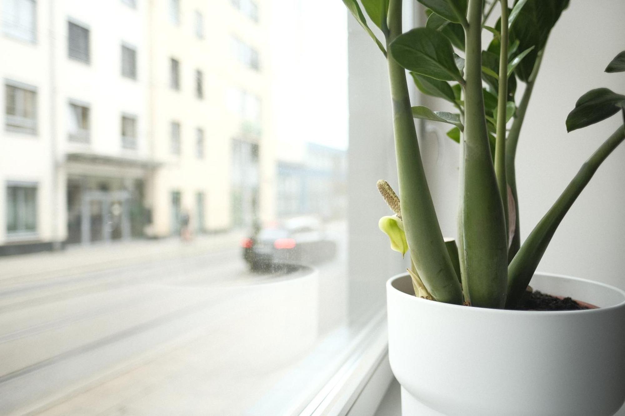 Apartments Zur Alten Konditorei ชเวียรีน ห้อง รูปภาพ